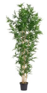 Pianta Bamboo 240 cm - UV - immagine 2