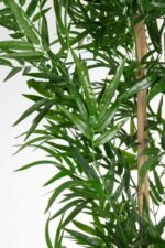 Pianta Bamboo 240 cm - UV - immagine 3